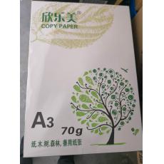 A3纸