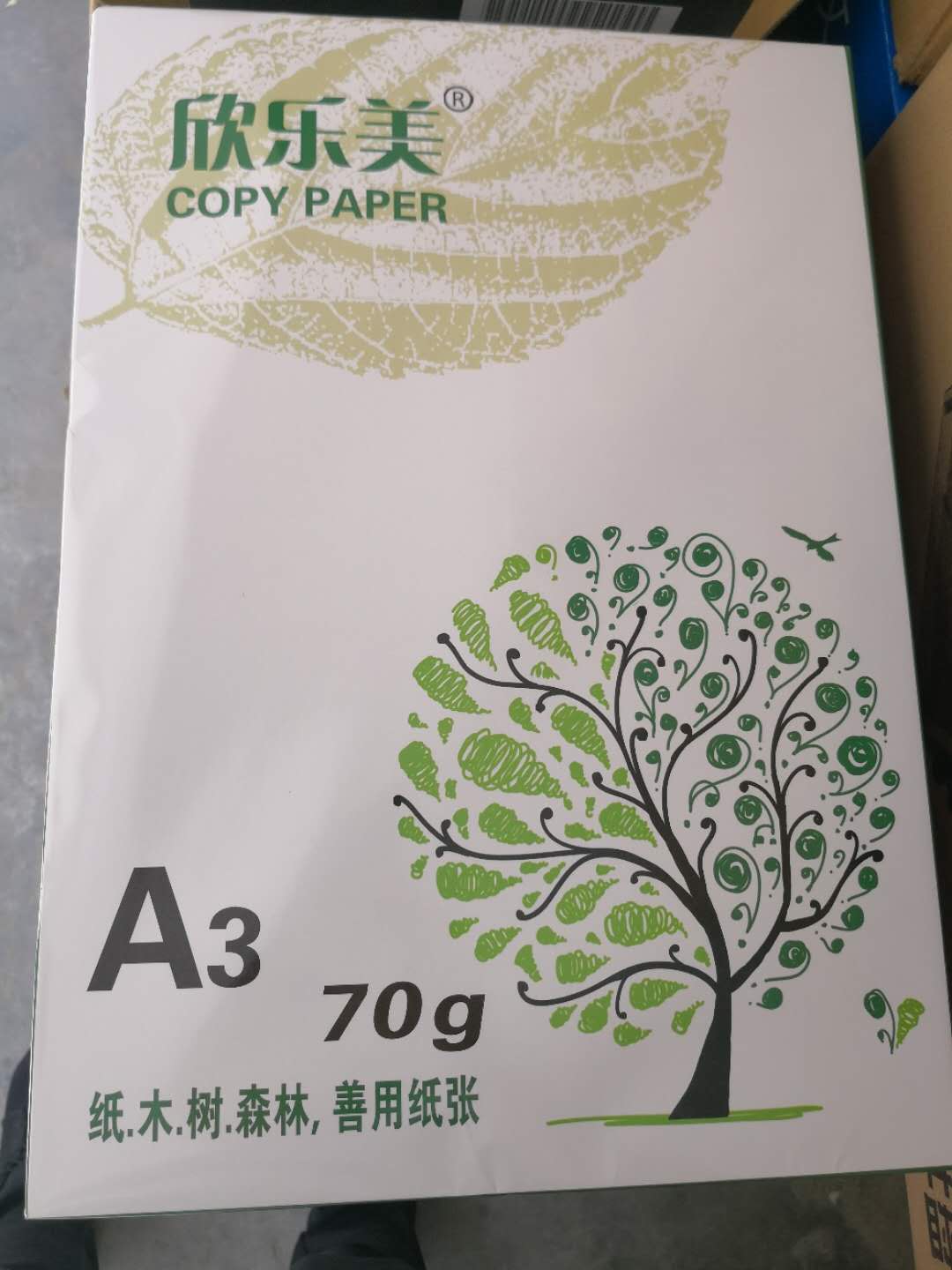 A3纸